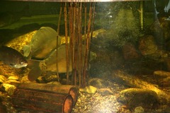 Killikus® Fotographie